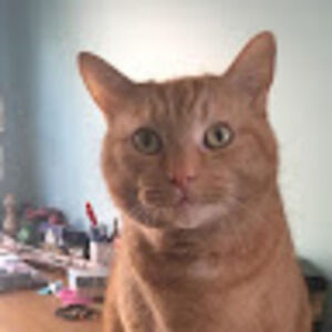 Meet your Posher, Brenda